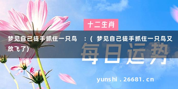 梦见自己徒手抓住一只鸟 :(梦见自己徒手抓住一只鸟又放飞了)